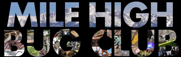 Mile High Bug Club | The Rocky Mountain Area Exotic Animal Club - Powered by vBulletin